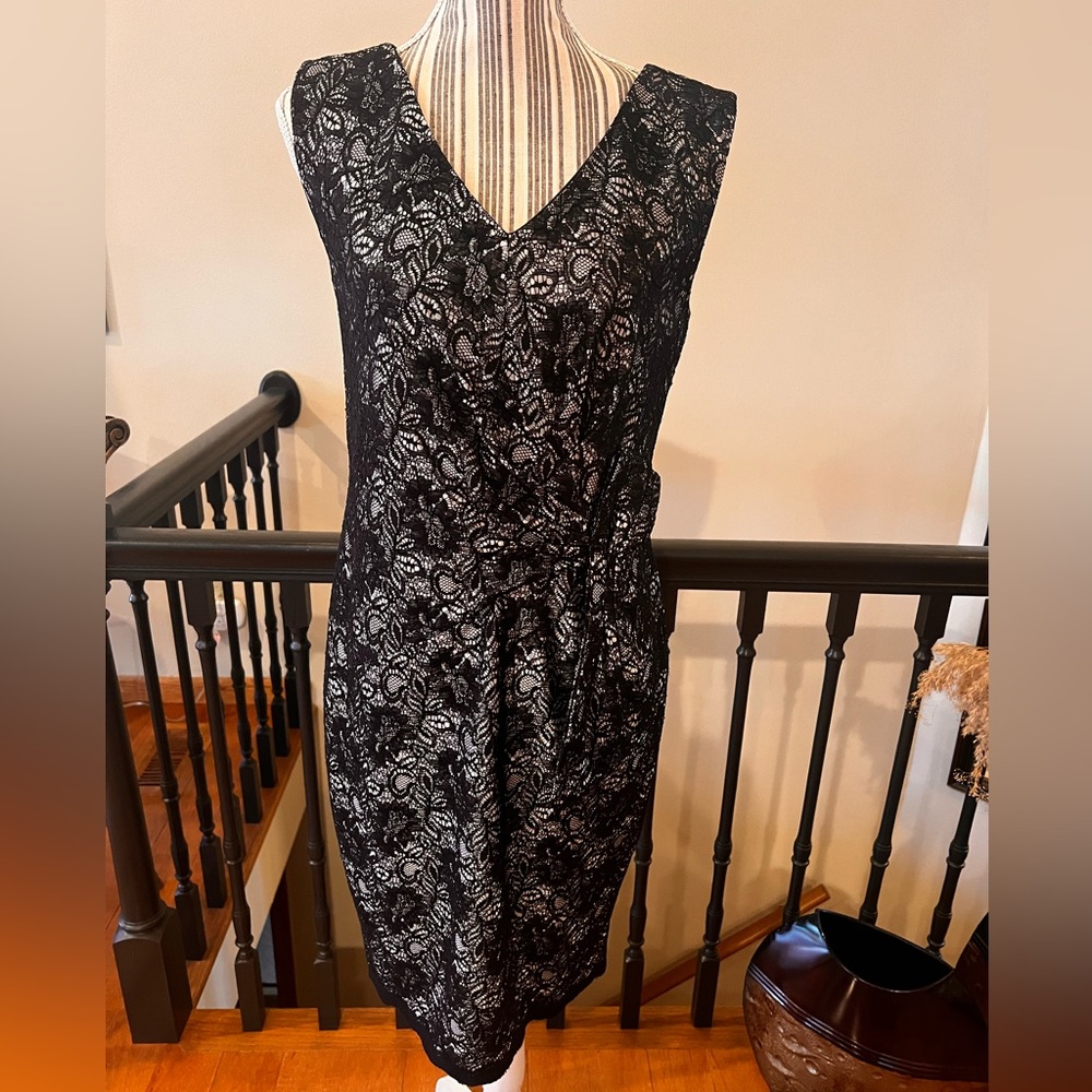 Tahari Elegant Black Lace Dress